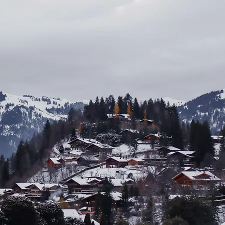 Blue Sky With Stunning Views Villa Gstaad