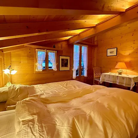 Blue Sky With Stunning Views Villa Gstaad