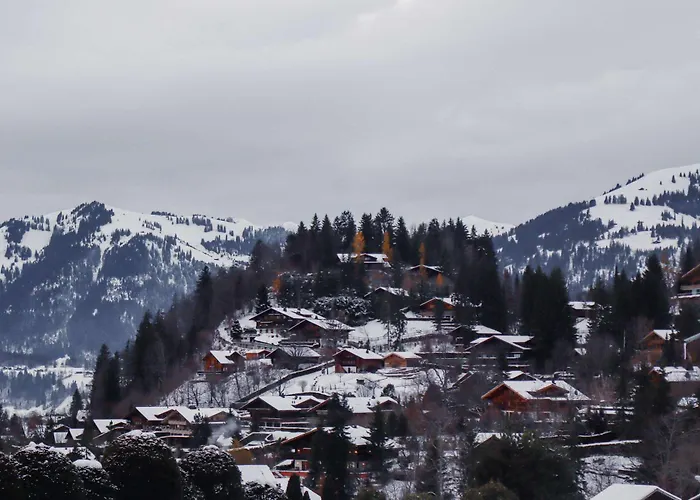 Blue Sky With Stunning Views Willa Gstaad